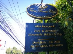 -Fern Forest Cafe