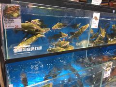 水产区-盒马鲜生(曜一城店)