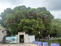 -大旗头古村