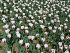 -双峰山国家森林公园-售票处