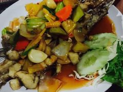 -Jungle Kitchen