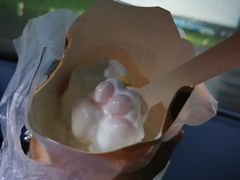 -枫花园汽车电影院(朝阳公园店)