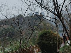 -重庆彩云湖湿地公园
