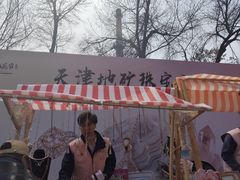 -桃花堤公园