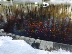 -水磨沟公园