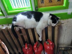 -俄罗斯风情小镇