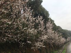 -外蒲山