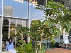 -SAANCI山池咖啡(海上世界文化艺术中心店)