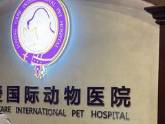 -宠爱国际动物医院·疑难骨科·心肾内科·皮肤科(太阳宫店)