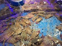 -澜悦港海鲜体验主题餐厅