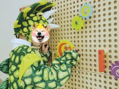 -艾米茉亲子餐厅(万象城店)