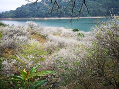 -广州市流溪河国家森林公园