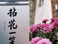 -寂照庵