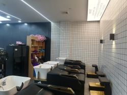 点击看大图 -藤野造型
