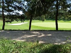 -渔家小院观海海肠捞饭地方菜(环海中路店)