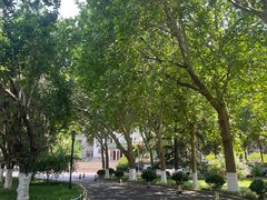 -山东师范大学(千佛山校区)