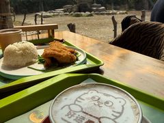 -上海野生动物园老虎餐厅