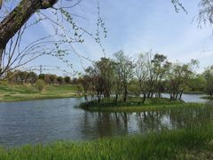 -上海长兴岛郊野公园