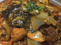 -洞庭家宴·头牌甲鱼(广渠门店)