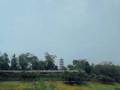 -国恩寺