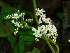 -宁波五龙潭景区