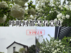 -绍兴饭店知遇楼(环山路店)