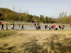 -习家池