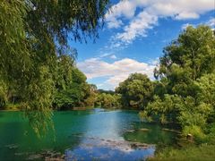 -长白岛森林公园