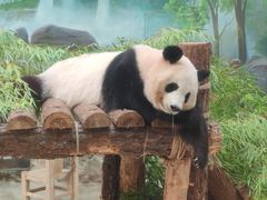 -杭州动物园