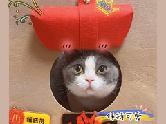 -麦当劳(天塔道店)