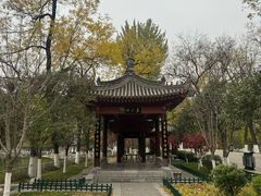-莲湖公园