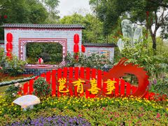 -金花茶公园