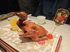 红烧鸽-大鸽饭(动物园店)