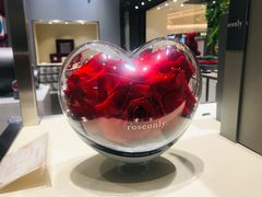 -ROSEONLY诺誓(青岛万象城店)