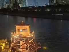 -武汉知音号