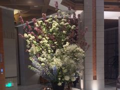 -浅深Cheersum(曹杨店)