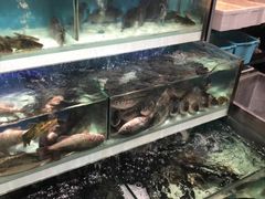 水产区-盒马鲜生(红莲店)