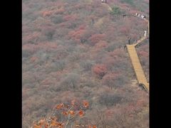 -水峪民俗村