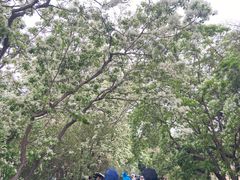 -国家植物园南园