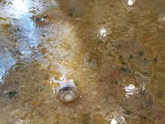 地主鱼头-北京餐厅