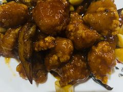 -新白家罩饼(三丰路店)