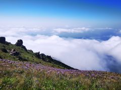 -白草畔自然风景区