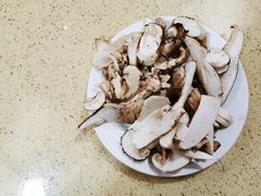 -东巴谷野生菌火锅餐厅