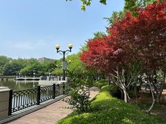 -大连植物园
