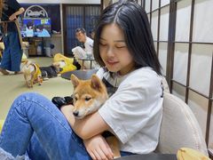 -逗柴咖啡屋·狗咖猫咖宠物桌游