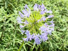 -上海港国际客运中心1号游艇码头