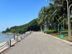 -深圳湾公园(南山区)