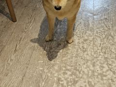 -小时光咖啡馆(北锣鼓巷店)