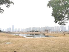 -洋湖国家湿地公园