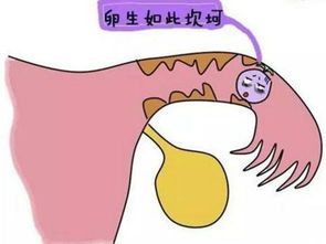 -邢台妇产医院